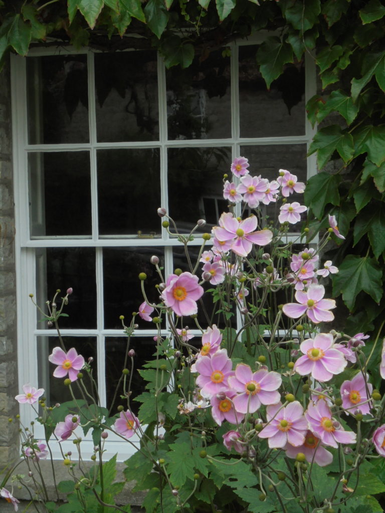 Timber Window Conservation - timber framed sash windows conservation