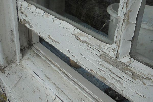 Timber Window Conservation - wood framed window repair and restoration